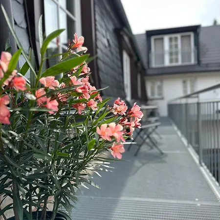 Apartmán Rotmain
