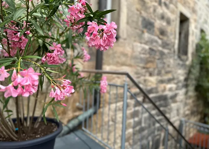 Rotmain באיירוט