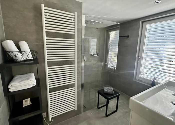 Rotmain באיירוט